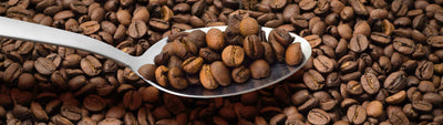 Kann Kaffee schlecht werden und wie lange ist Kaffee eigentlich haltbar?