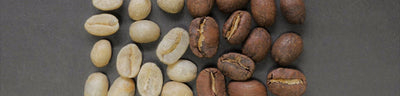 Grüner Kaffee: Wie schmeckt er und was kann er?