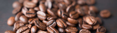 Was ist Bio Kaffee - Woran erkenne ich ihn und ist Bio besser?