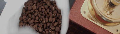 Die Kaffeebohne - Woran erkenne ich gute Qualität?