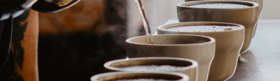 Cupping Kaffee - Definition, Ablauf, SCA-Standards & mehr