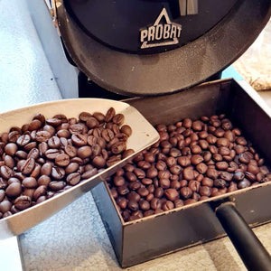 Lupine Kaffeeblend von earlybird coffee frisch im Trommelröster geröstet