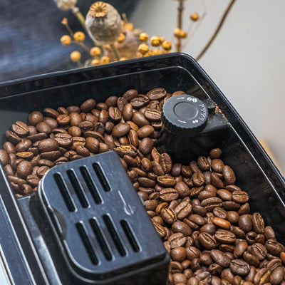 earlybird Vollautomat Bohnen gefüllt in einem Kaffeevollautomatenbehälter